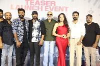 ZEBRA Movie Teaser Launch